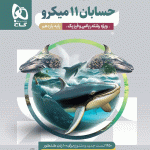 حسابان میکرو 11 گاج