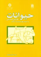 حيوانات، قوانين حمايتي و حدود بهره‌ وري در اسلام