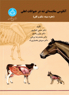 آناتومی مقایسه‌­ای تنه در حیوانات اهلی (حفره سینه، شکم و لگن) نشر دانشگاه تهران