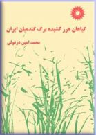 گیاهان هرز کشیده برگ گندمیان ایران مرکز نشر دانشگاهی