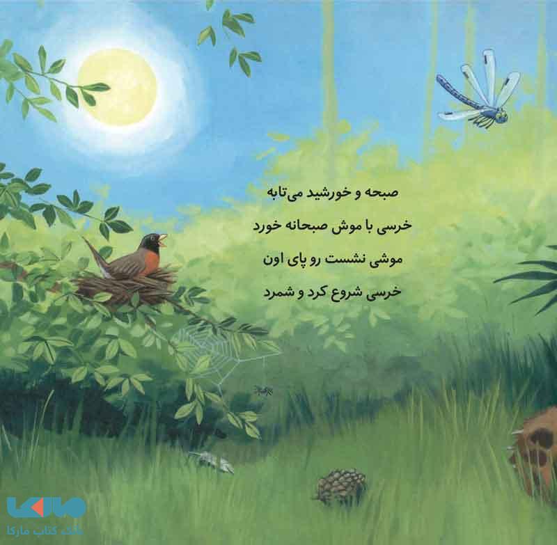 صفحه ای از کتاب خرسی می تونه بشماره نشر پرتقال