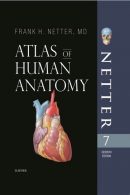 Atlas of human anatomy نشر ابن سینا
